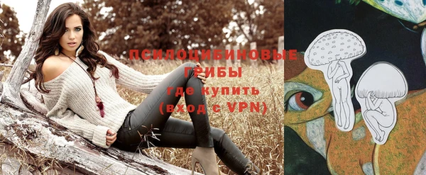 молекула духа Алексеевка