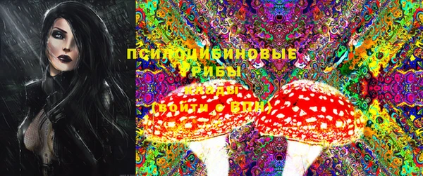 молекула духа Алексеевка
