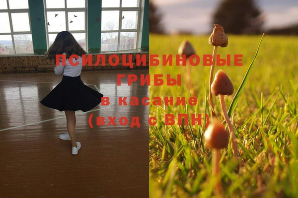 MDMA Premium VHQ Аркадак