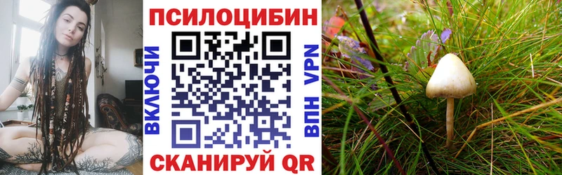 Галлюциногенные грибы MAGIC MUSHROOMS  Елабуга 