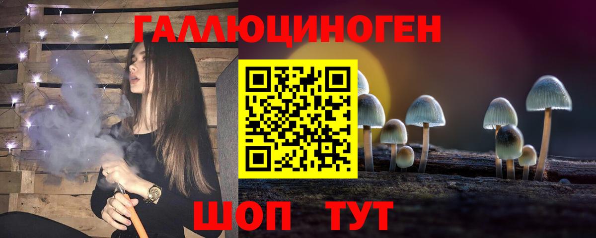 Галлюциногенные грибы прущие грибы Елабуга